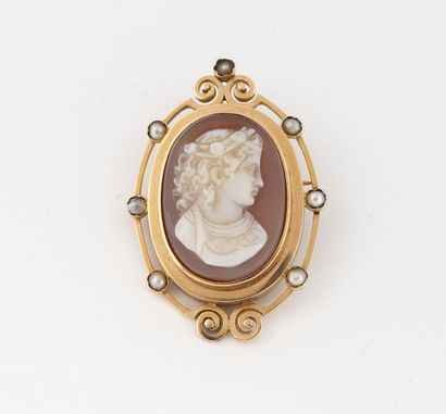 Yellow gold (750) oval brooch holding a cameo...