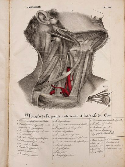 DONNADIEU (Albert)
De Montpellier.
S.l.,...
