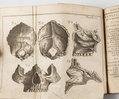 BONHOMME (J.J.)
Traité de l'ostéologie du...