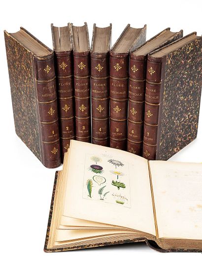 CHAUMETON
Medical flora described by Messrs...