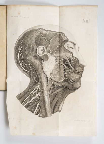 SIEBOLD (Johannes Bartholomaus)
Dissertatio...