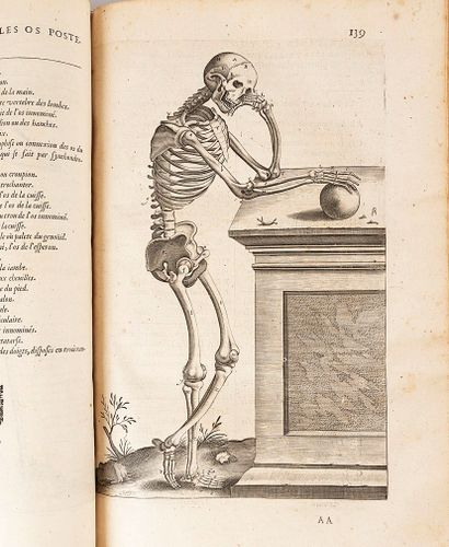 DU LAURENS (André)
The anatomical history...