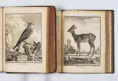 BUFFON
Histoire naturelle générale et particulière...