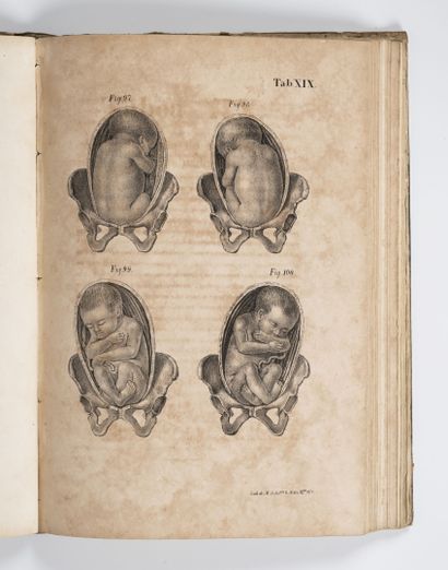 BUSCH (Dietrich Wilhelm Heinrich)
Atlas de...