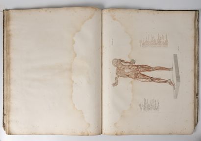 SALVAGE (Jean-Galbert)
Anatomie du gladiateur...