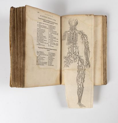 BARTHOLIN (Thomas)
Anatomia, ex caspari Batholini...