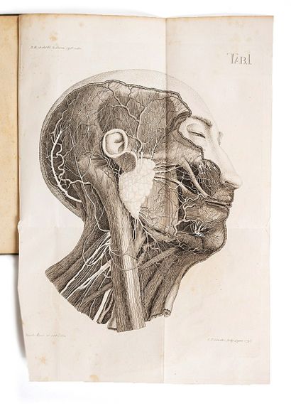 SIEBOLD (Johannes Bartholomaus)
Dissertatio...