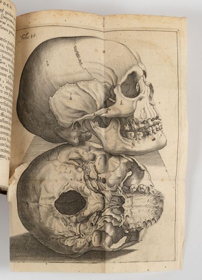 PAAW (Petrus)
Succenturiatus anatomicus.
Lugduni...