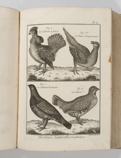 BONNATERRE (L'abbé)
Encyclopedic and methodical...