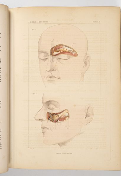 BERAUD (J.B.)
Atlas complet d'anatomie chirurgicale...