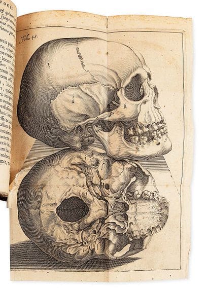 PAAW (Petrus)
Succenturiatus anatomicus.
Lugduni...