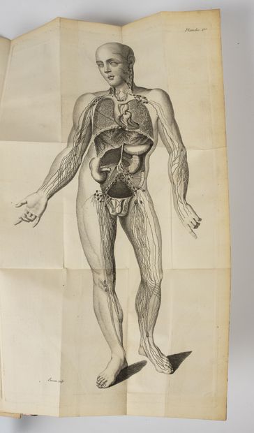 CRUIKSHANK (Willia.)
Anatomy of the absorbing...