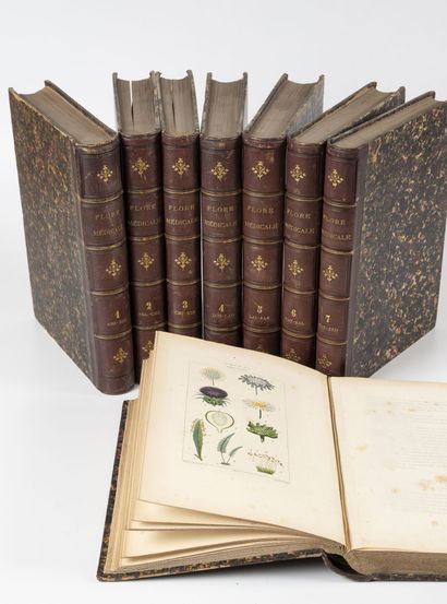 CHAUMETON
Medical flora described by Messrs...