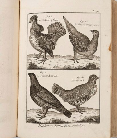 BONNATERRE (L'abbé)
Encyclopedic and methodical...