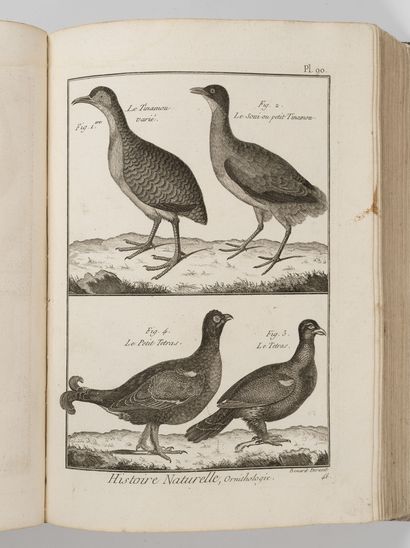 BONNATERRE (L'abbé)
Encyclopedic and methodical...