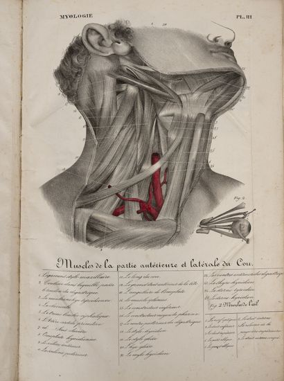 DONNADIEU (Albert)
De Montpellier.
S.l.,...