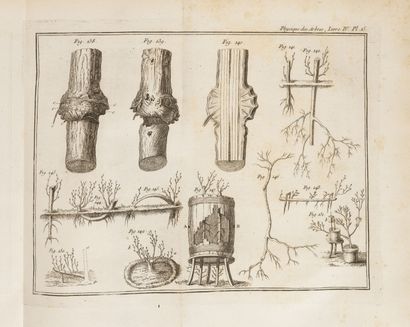 DUHAMEL DU MONCEAU (Henri Louis)
La physique...