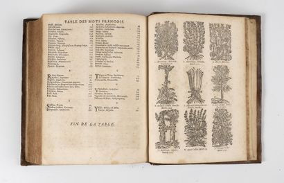 GUYON (Louis)
The course of medicine in French...