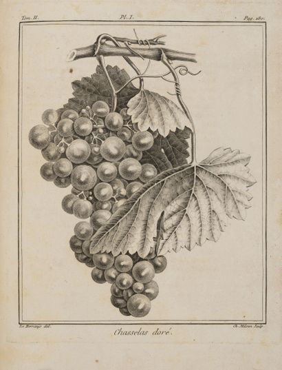 DUHAMEL DU MONCEAU (Henri-Louis)
Traité des...