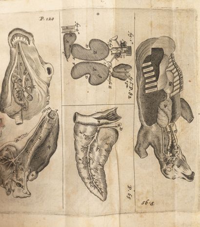 WHARTON (Thomas)
Adenographia sive glandularum...