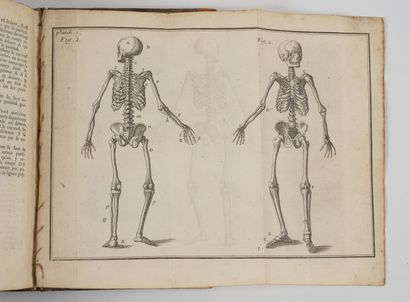 HEISTER (Lorenz)
L'anatomie d'Heister avec...