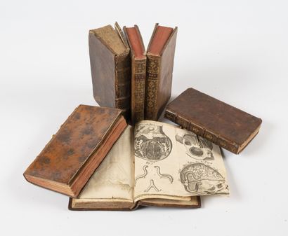HAGUENOT (Domini)
Tractatus de morbis capitis...