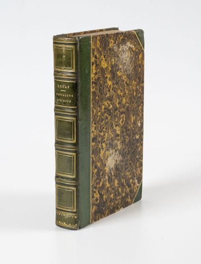 LUCAS (P.H.)
Histoire naturelle des lépidoptères...