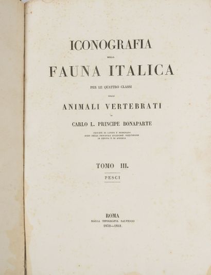 BONAPARTE (Carlo L. Principe).
Iconografia...
