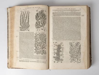 MATIOLI
Histoire des plantes.
S.L., (Lyon),...