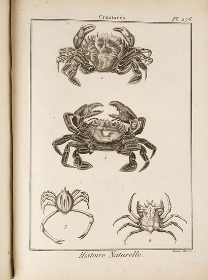LATREILLE
Tableau encyclopédique et méthodique...