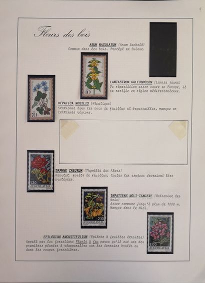 Collection on tourism, arts and crafts, nature,...