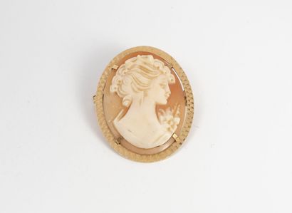 Yellow gold (750) pendant brooch with a shell...