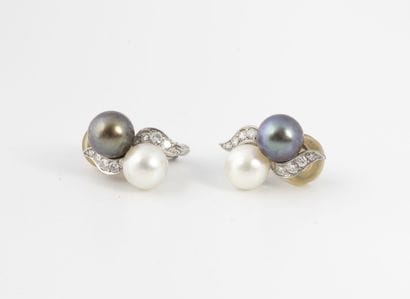 Pair of ear clips in white gold (750) and...