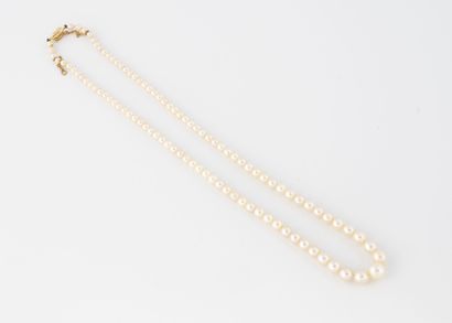 Necklace of white cultured pearls in fall.
Clasp...
