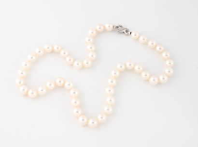 Necklace of white pearls of culture.
Clasp...