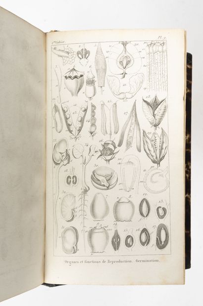 18 volumes :
- L. LANIER
* L'Europe (sans...