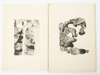 CORTI (José)
Dreams of ink.
With 25 images...