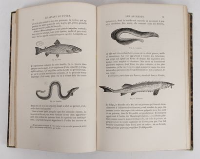 Louis FIGUIER
- Le savant du foyer.
Paris,...