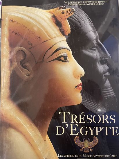 2 books :
- F. TIRADRITTI
Treasures of Egypt....