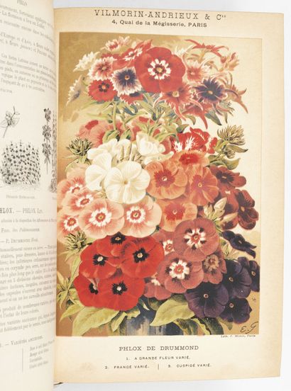 18 volumes :
- L. LANIER
* L'Europe (sans...