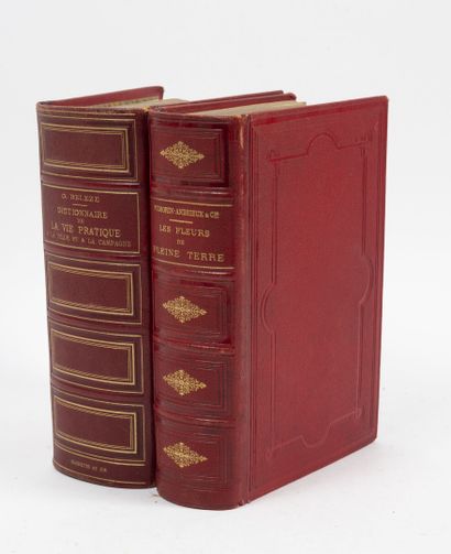 18 volumes :
- L. LANIER
* L'Europe (sans...