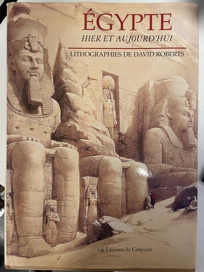 2 books :
- F. TIRADRITTI
Treasures of Egypt....