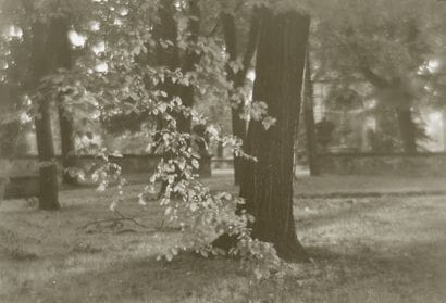 Josef SUDEK (1896-1976)
Detail in the Park...