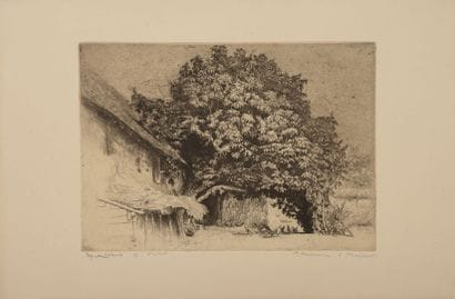 Edgar CHAHINE (1874-1947)
The chestnut tree,...