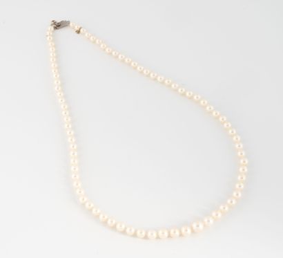 Collier de perles de culture blanches en...