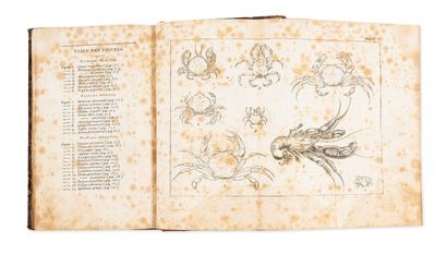 RISSO Antoine (1777-1845)
Histoire naturelle...