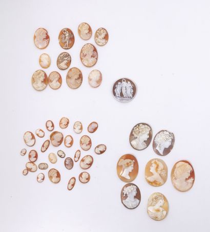 Lot of cameos on shells decorated with :
-...