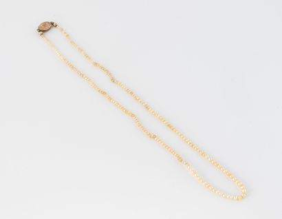 Small seed pearl necklace with white pearls.
Yellow...