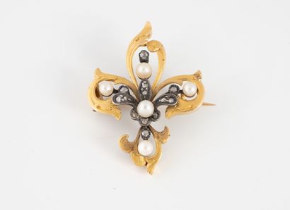 Yellow gold (750) and silver (min. 800) fleur-de-lis...