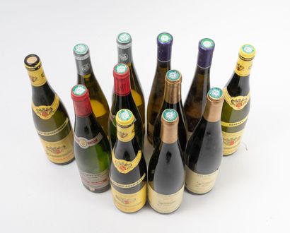 ALSACE
2 bottles, 2005.
Riesling. White wine.
Pierre...